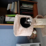 Avatar valou56luciole